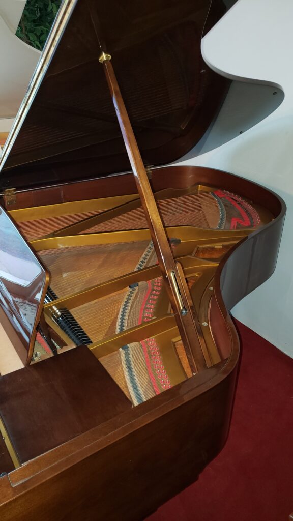 Tadashi Grand Inside View
