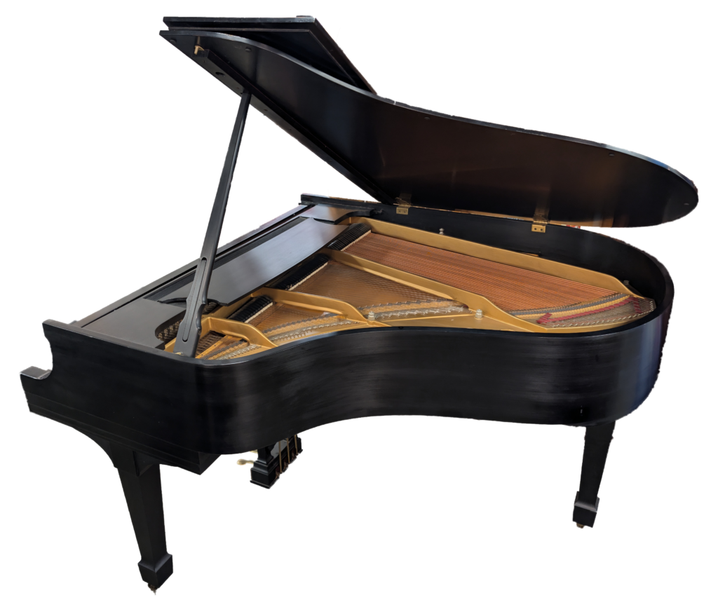 Steinway M